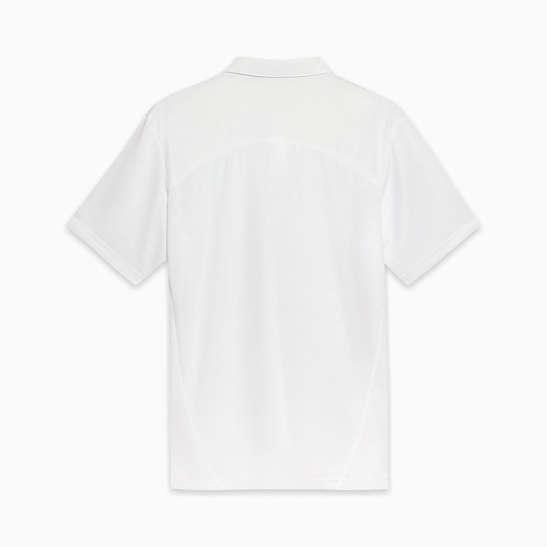 Camisa Polo Palmeiras Treino 2025