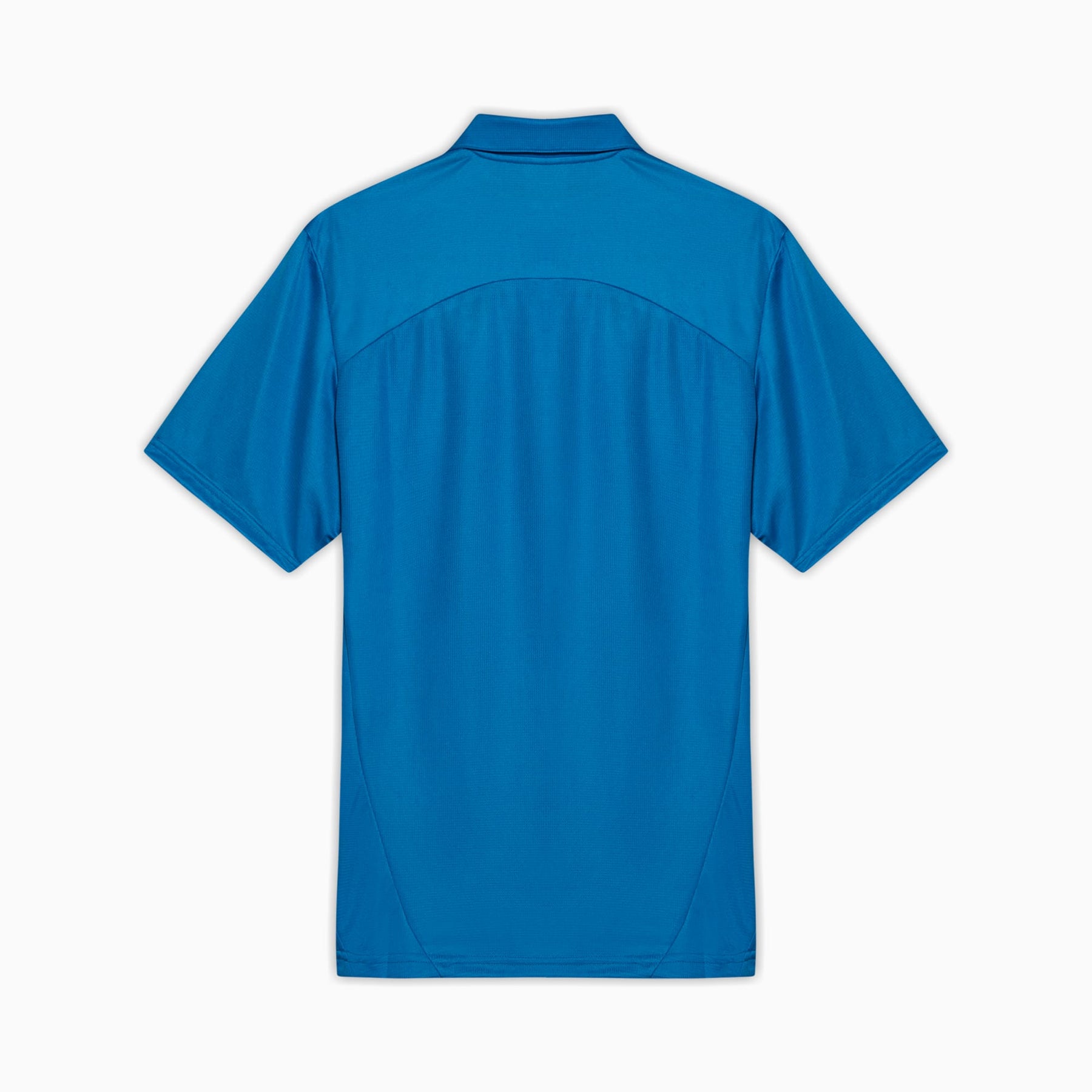 Camisa Polo Palmeiras Treino 2025