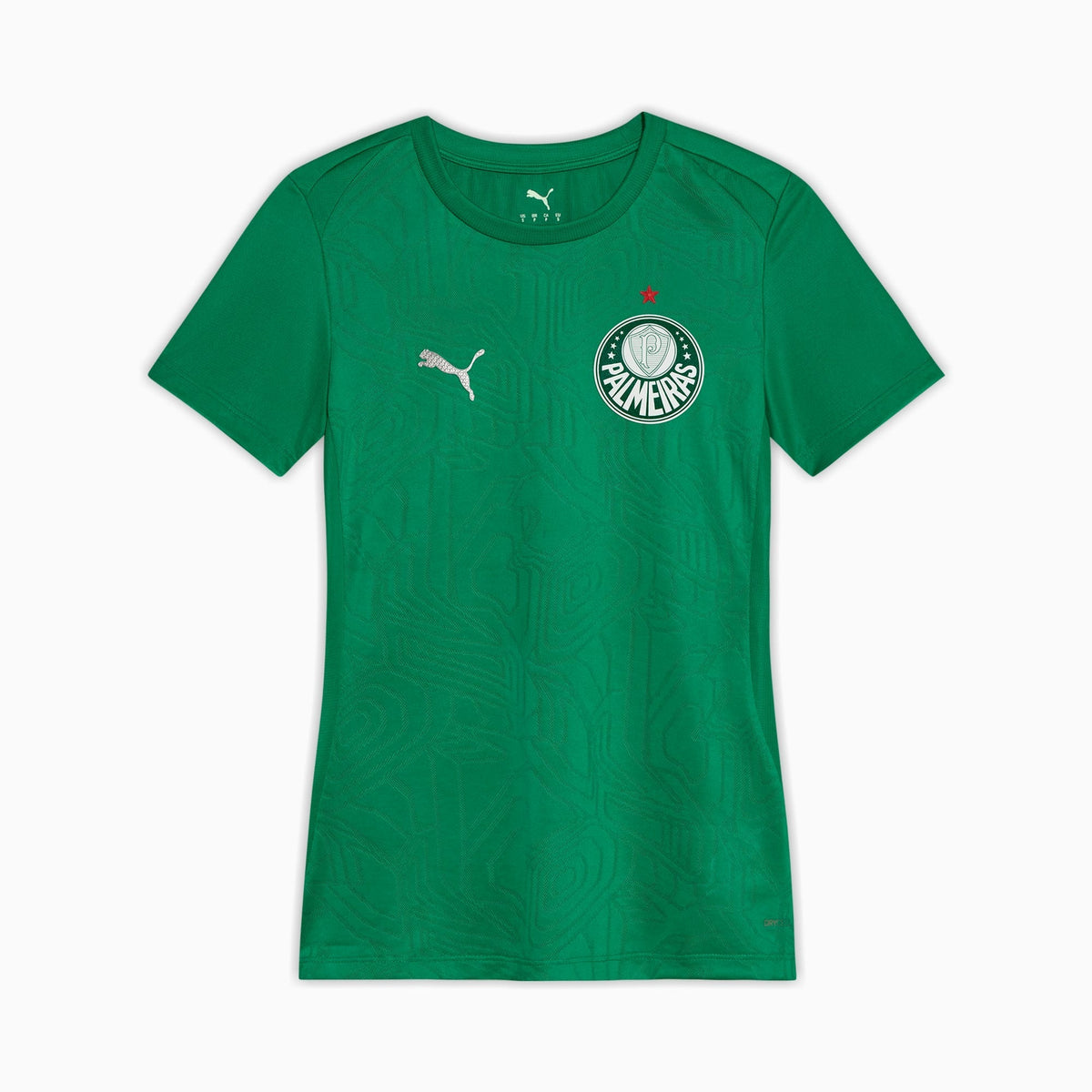 Camisa Palmeiras Treino 2025 Feminina