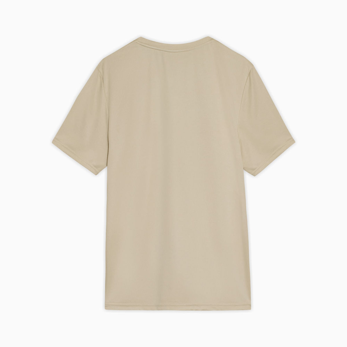 Camiseta Palmeiras Casuals 2025